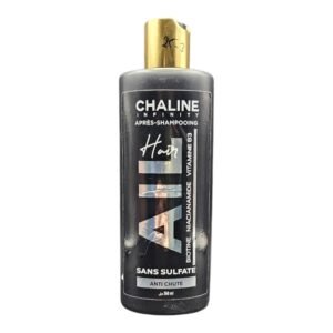 CHALINE ASHP SS AIL ANTI CHUTE 360ML