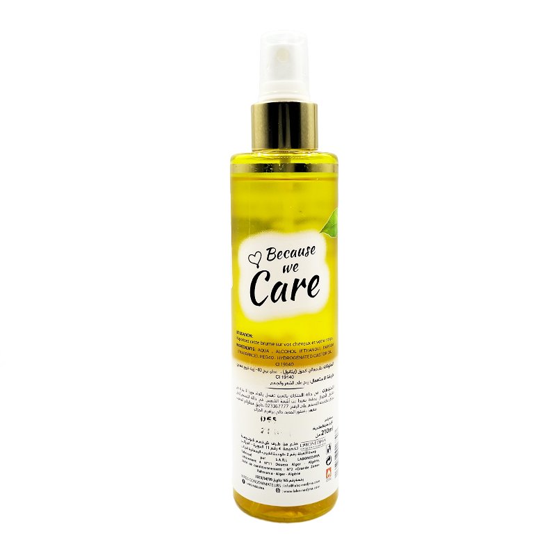 FLUX CARE BRUME STAY FRESH CITRON 210ML