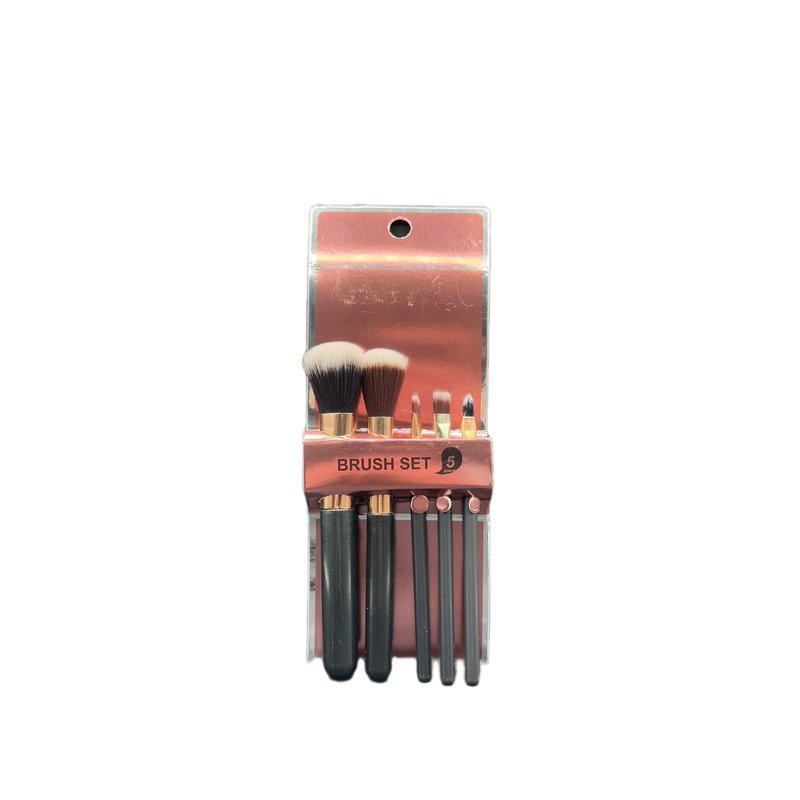 BRUSH SET 5PCS H.N515