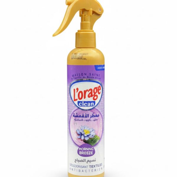 LORAGE DESODORISANT TEXTILES CLEAN 300ML