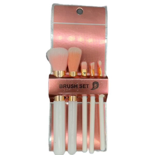 BRUSH SET 5PCS H.N515