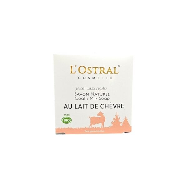 LOSTRAL SAVON SOLIDE 120G